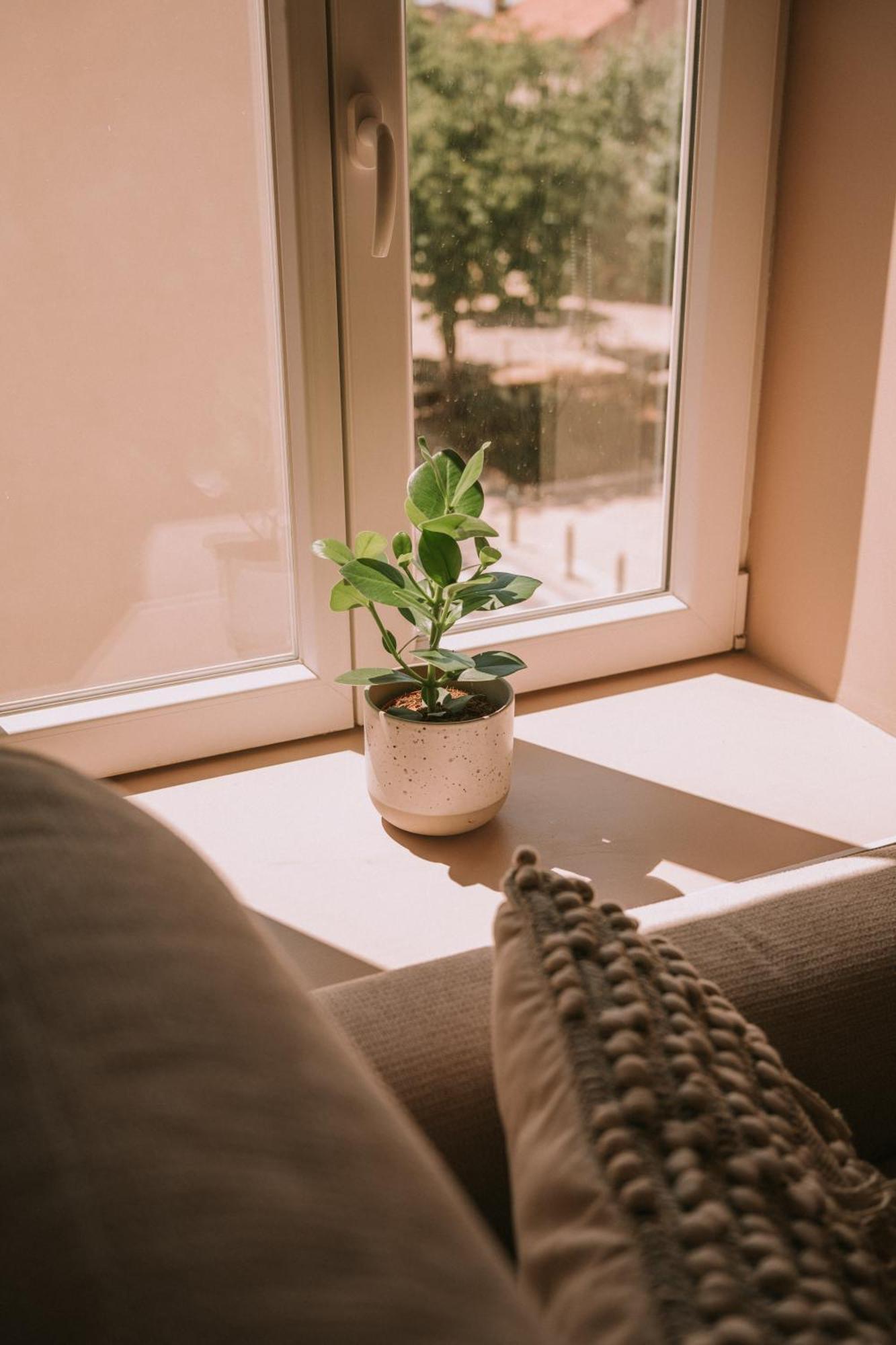 Quietude-Loft Neuf-Clim & Parking Διαμέρισμα Roquefort-la-Bedoule Εξωτερικό φωτογραφία